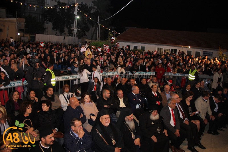 tree xrismass (56).JPG